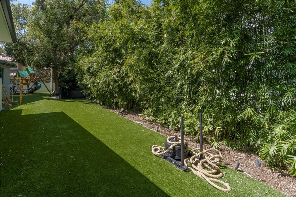 Backyard, Exterior
