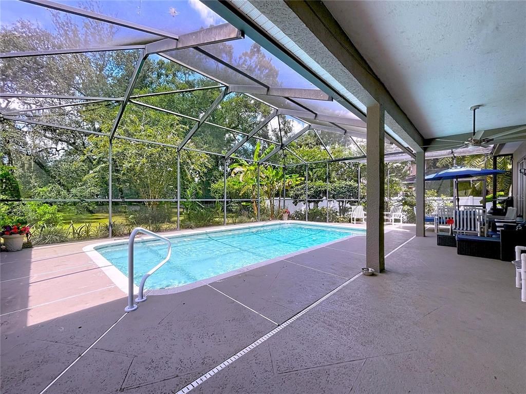 Glass Ceilings, Interior, Pool, Sun Room