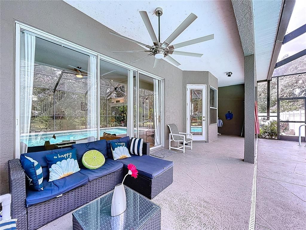 Glass Ceilings, Interior, Living room, Sun Room