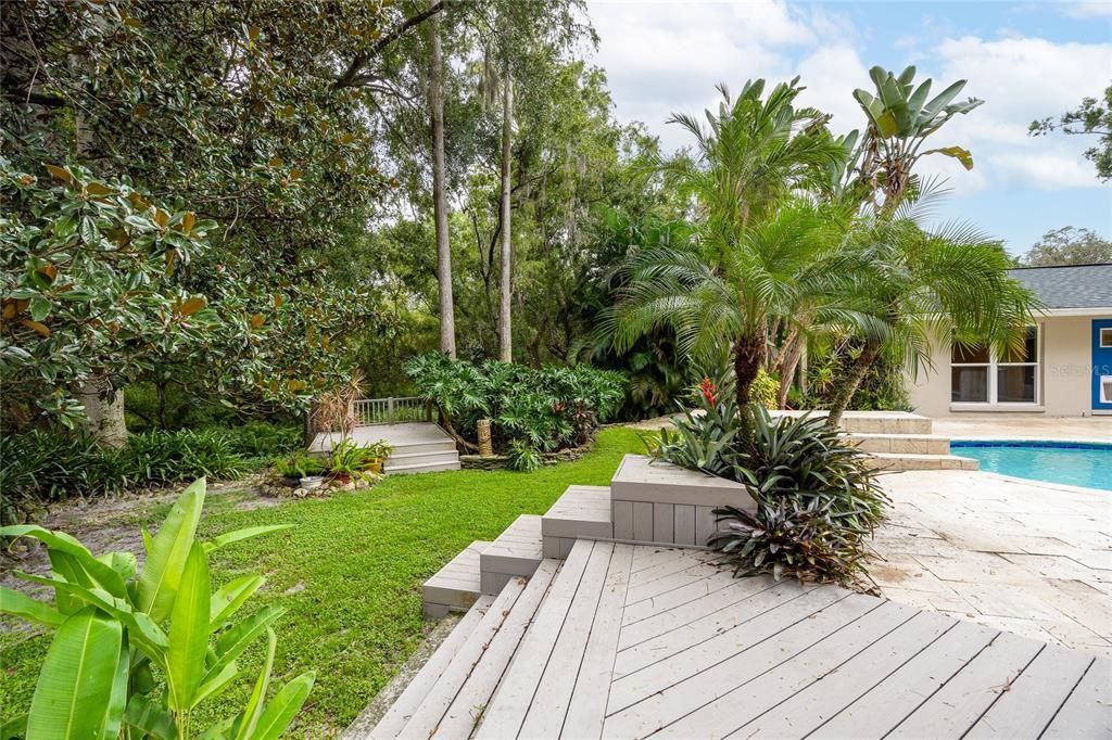 Backyard, Exterior, Pool