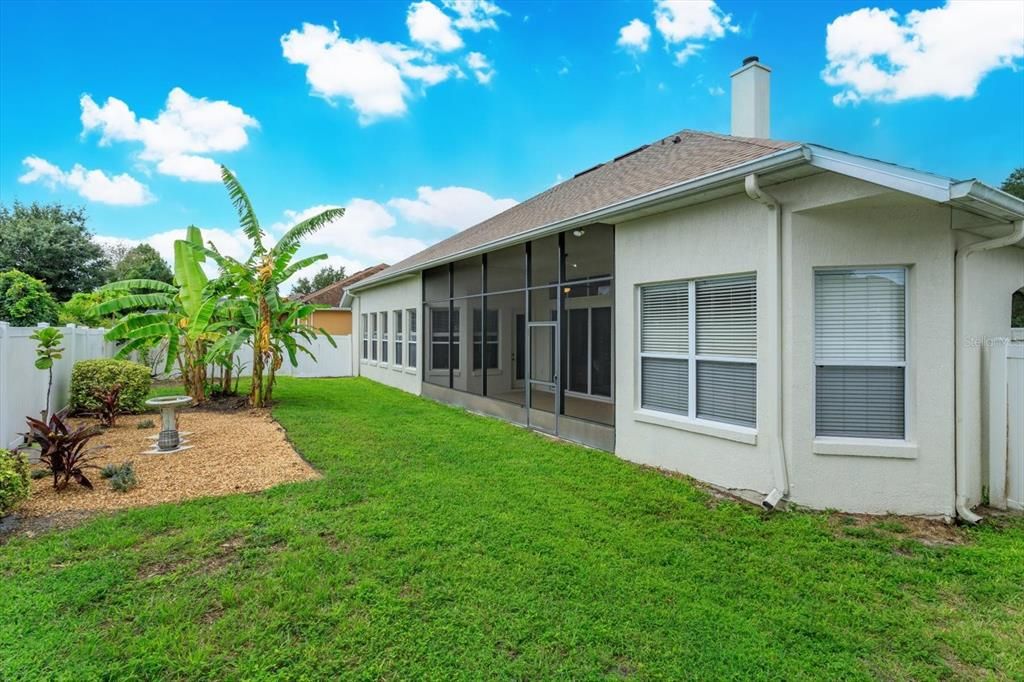Backyard, Exterior