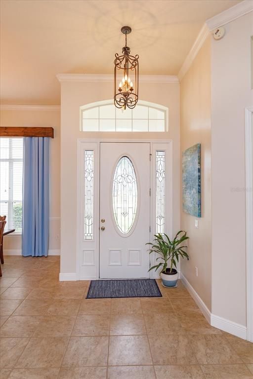 Chandelier, Interior, Pendant Lights