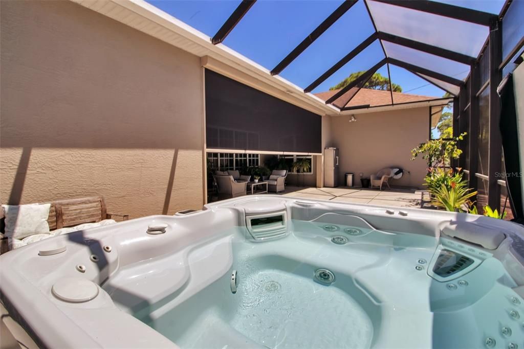Glass Ceilings, Hot Tub, Interior, Sun Room
