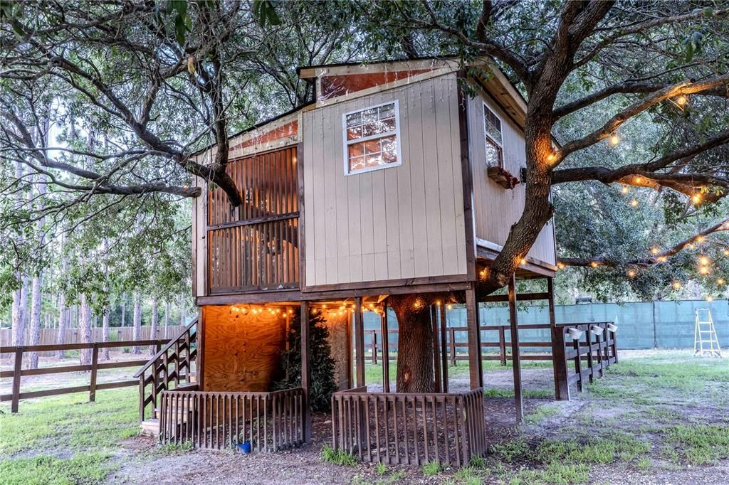 Backyard, Exterior
