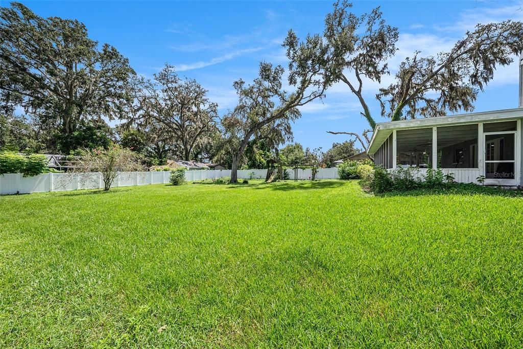 Backyard, Exterior