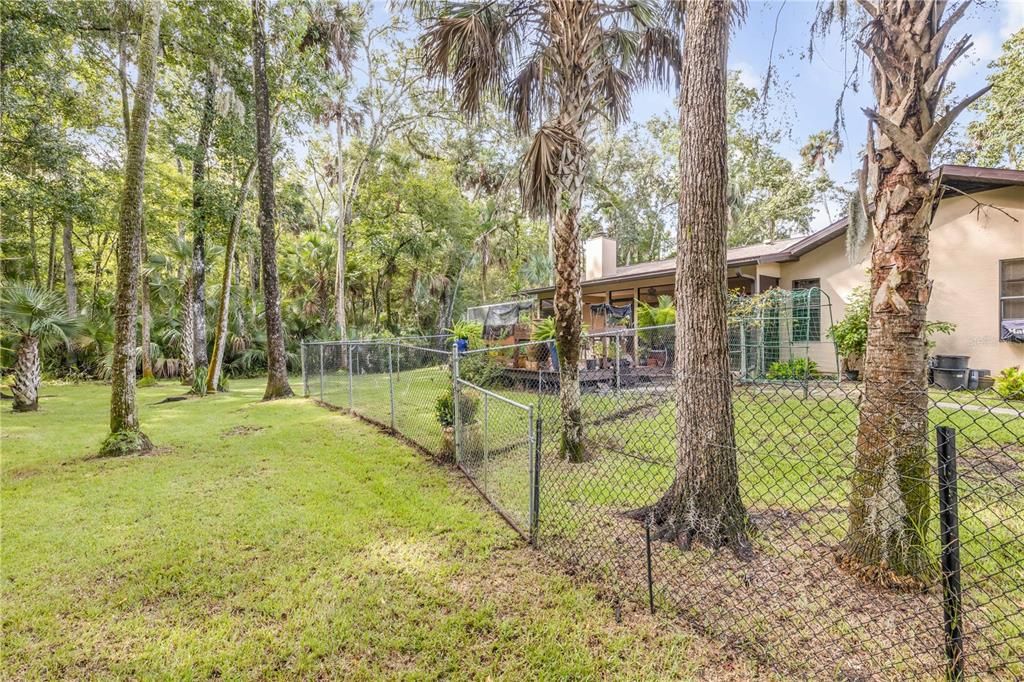 Backyard, Exterior