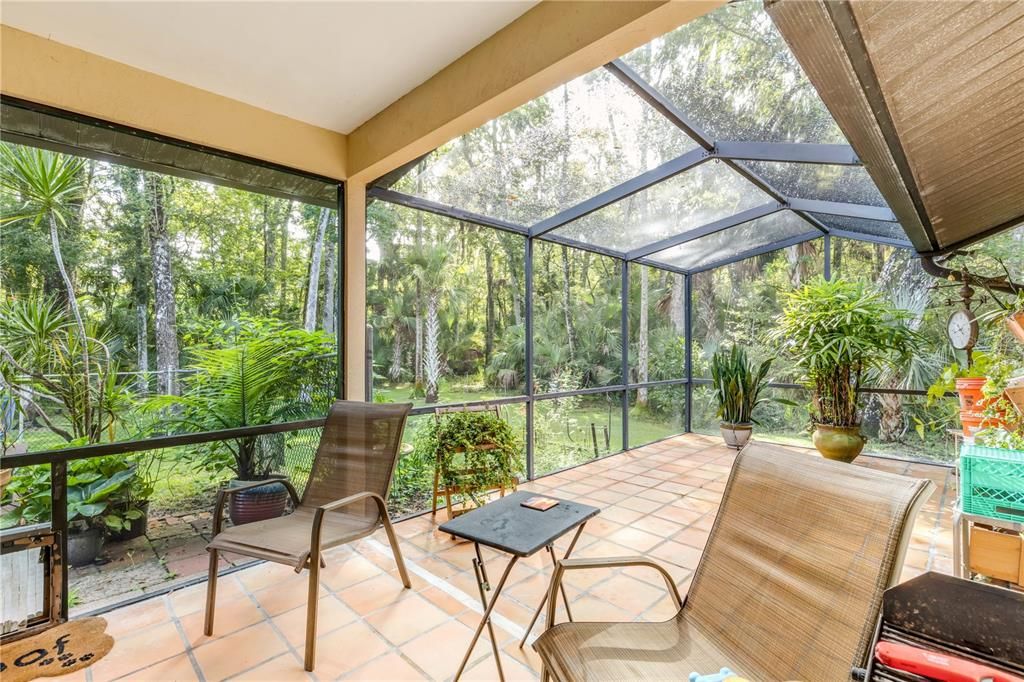 Glass Ceilings, Interior, Sun Room