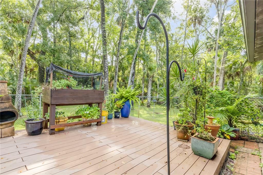 Backyard, Exterior