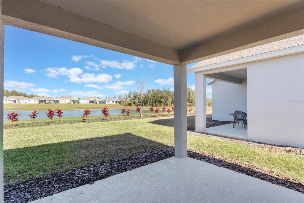 Backyard, Exterior, Water