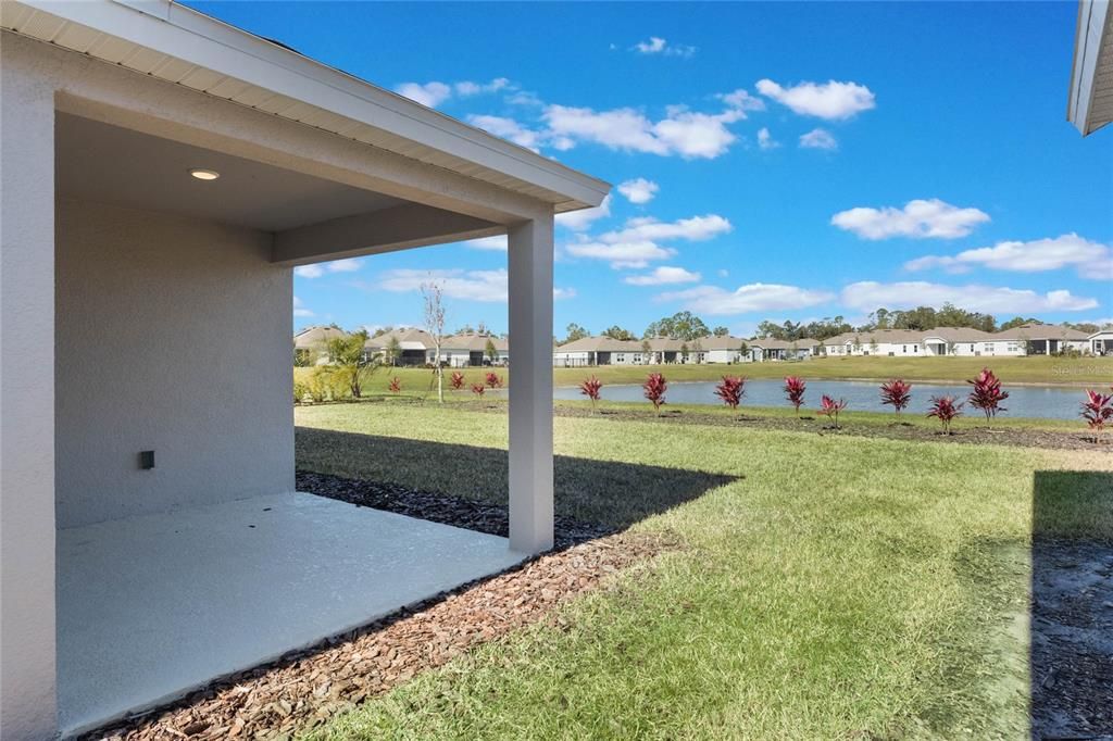 Backyard, Exterior, Water