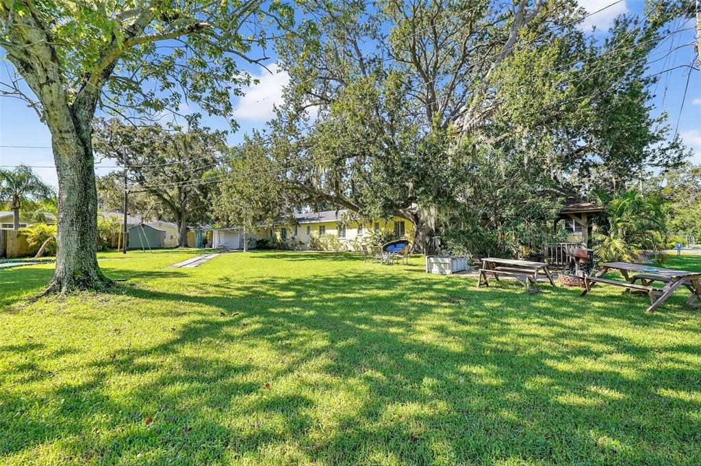 Backyard, Exterior, Playground