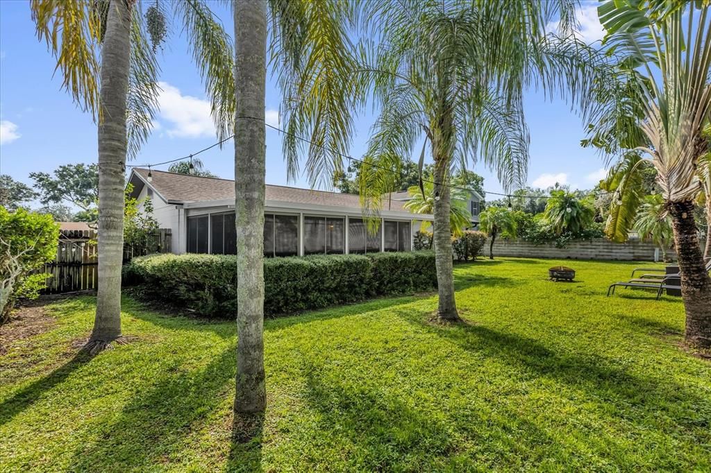 Backyard, Exterior