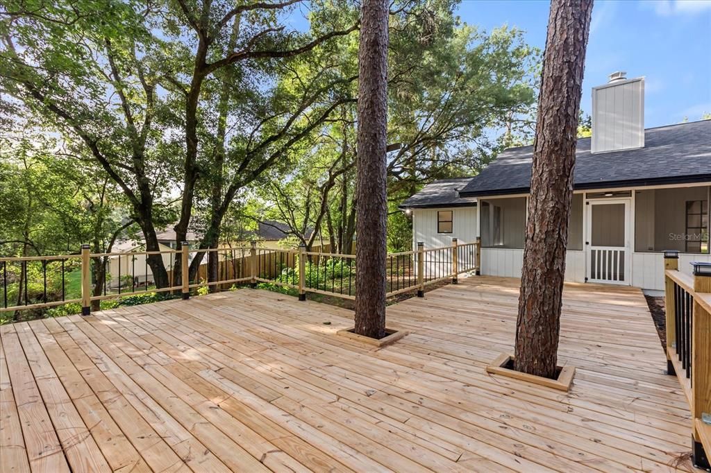 Exterior, Wood Texture Flooring