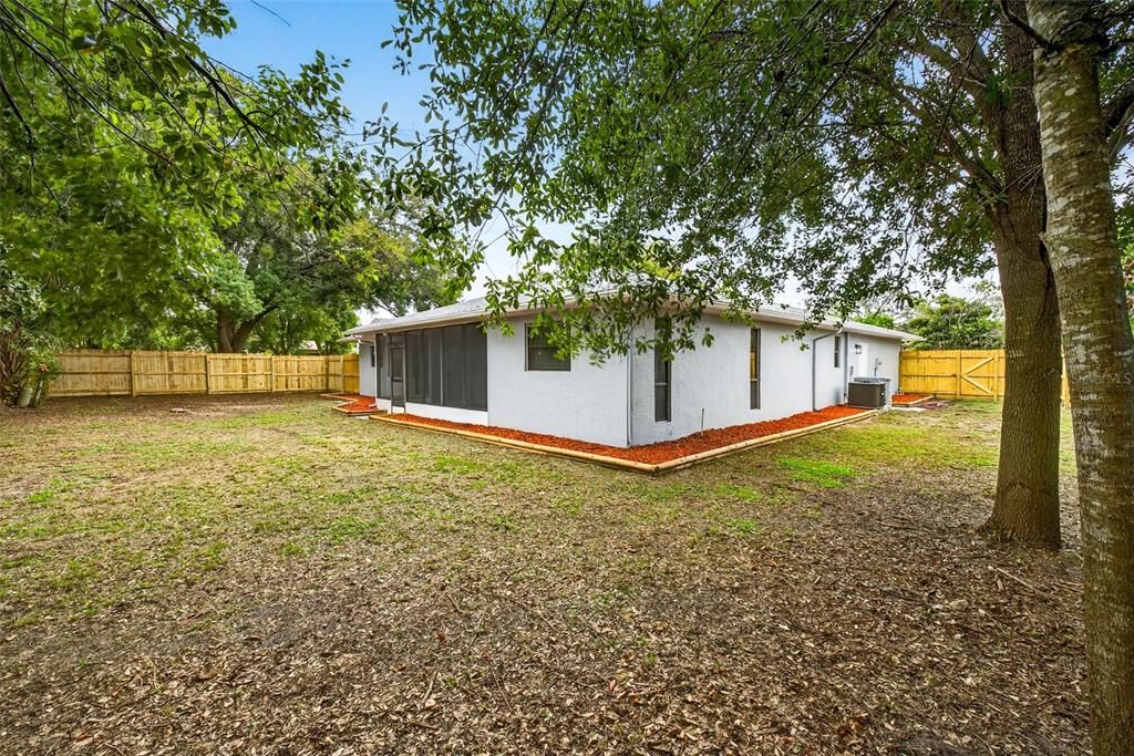 Backyard, Exterior