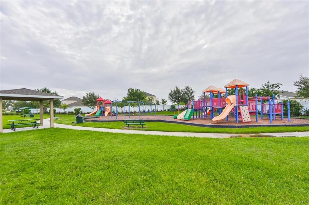 Backyard, Exterior, Playground