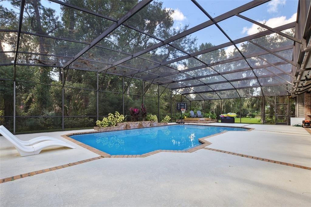 Glass Ceilings, Interior, Pool, Sun Room