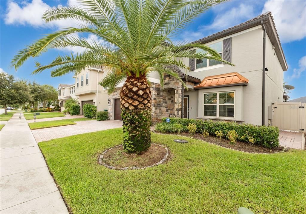 Backyard, Exterior