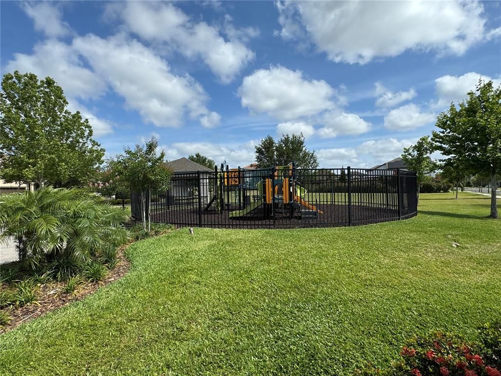 Backyard, Exterior, Playground