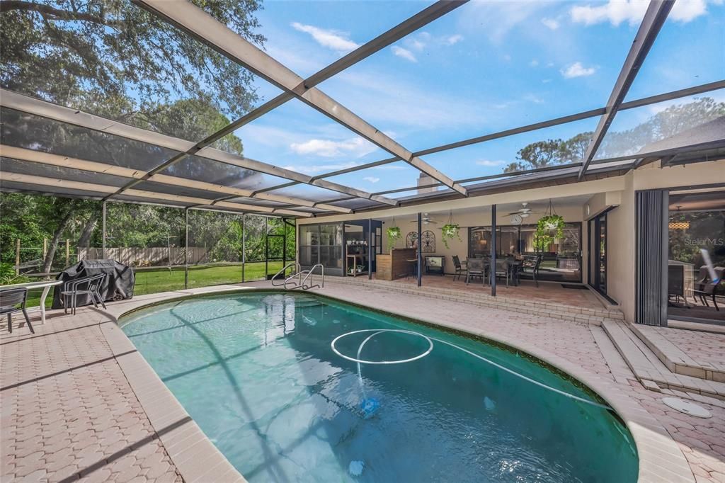 Glass Ceilings, Interior, Pool, Sun Room