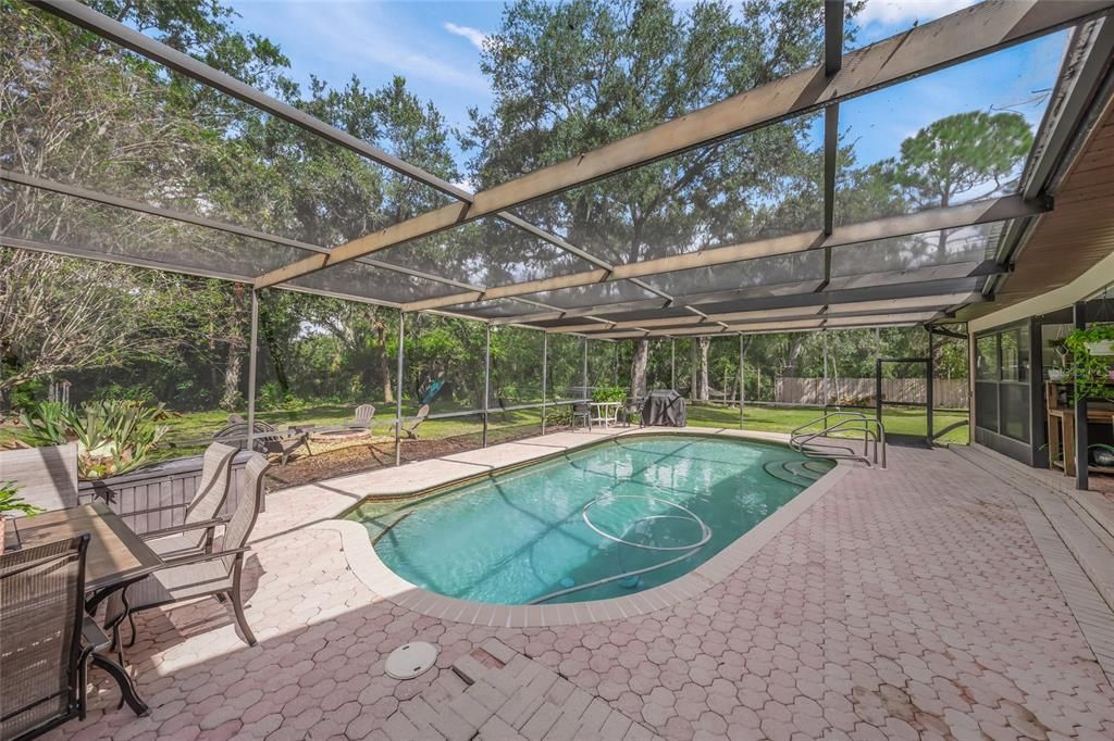 Glass Ceilings, Interior, Pool, Sun Room