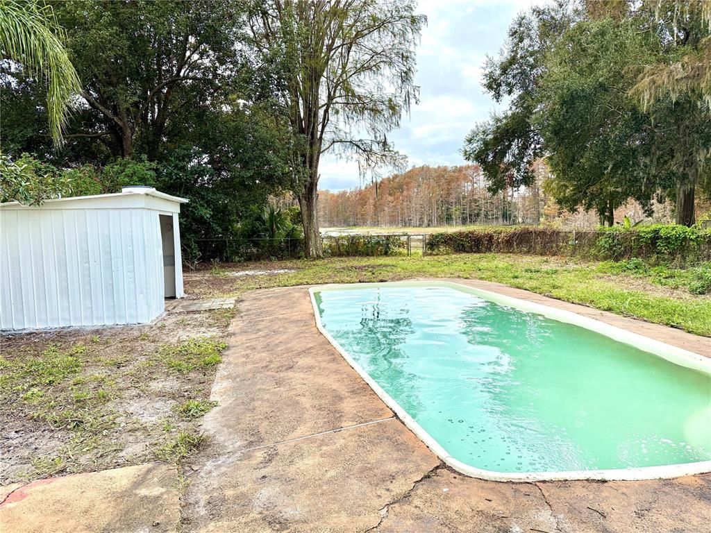 Backyard, Exterior, Pool
