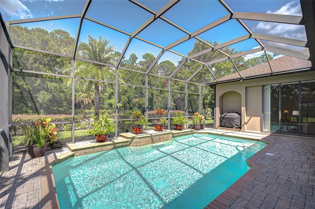 Glass Ceilings, Interior, Pool, Sun Room