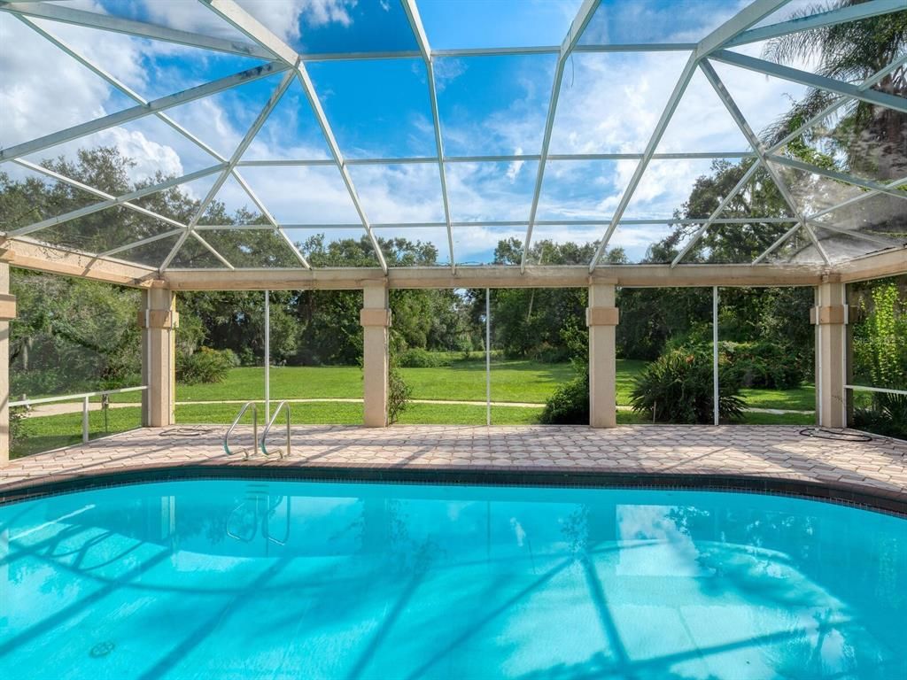 Glass Ceilings, Interior, Pool, Sun Room