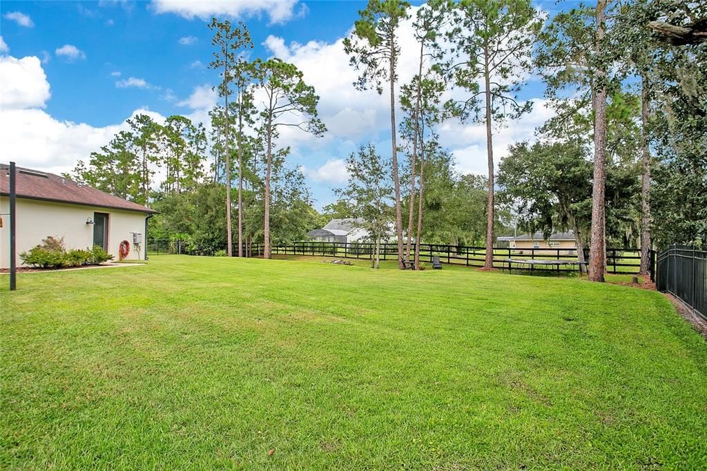 Backyard, Exterior