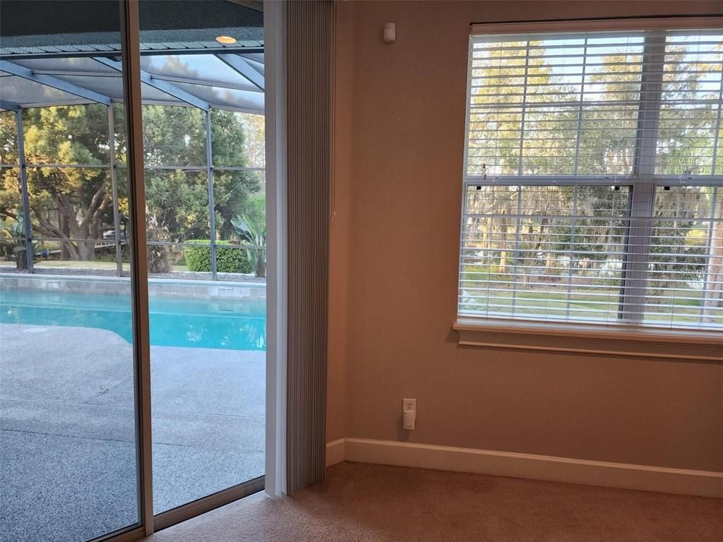 Glass Ceilings, Interior, Pool, Sun Room