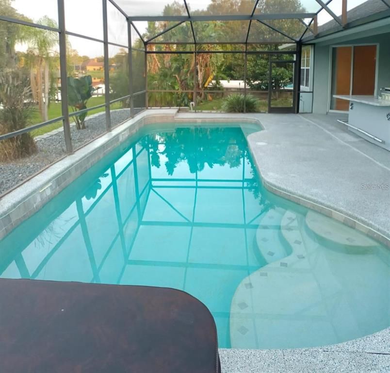 Glass Ceilings, Interior, Pool, Sun Room