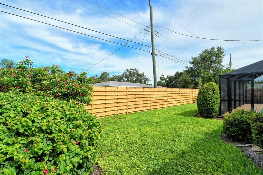 Backyard, Exterior