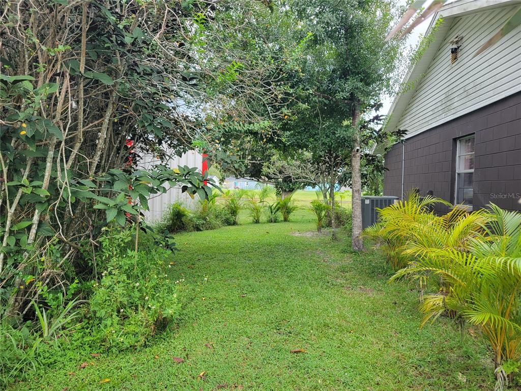 Backyard, Exterior