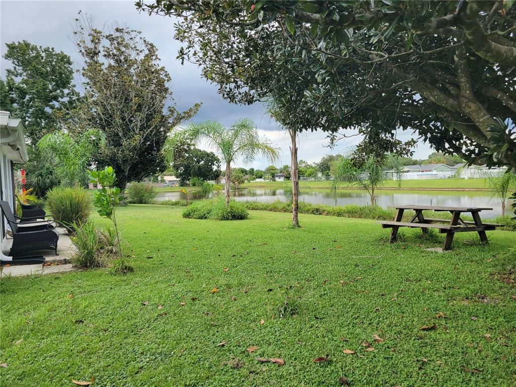 Backyard, Exterior, Water