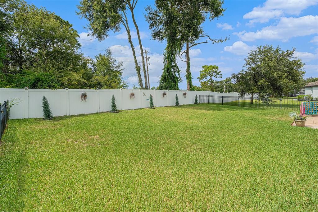 Backyard, Exterior