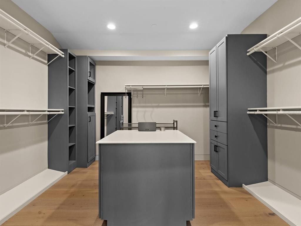 Interior, Recessed Lighting, Walk-in Closets, Wood Texture Flooring