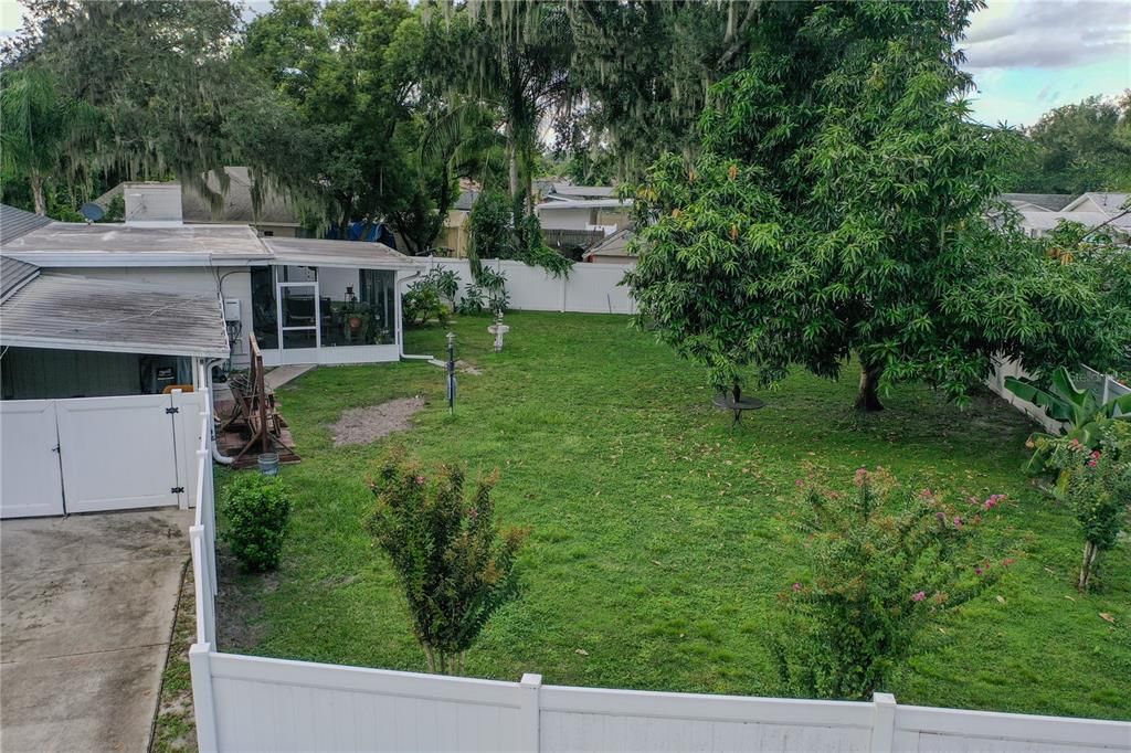 Backyard, Exterior