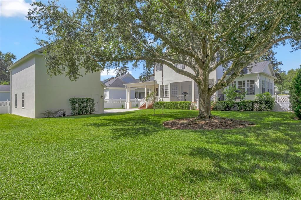 Backyard, Exterior