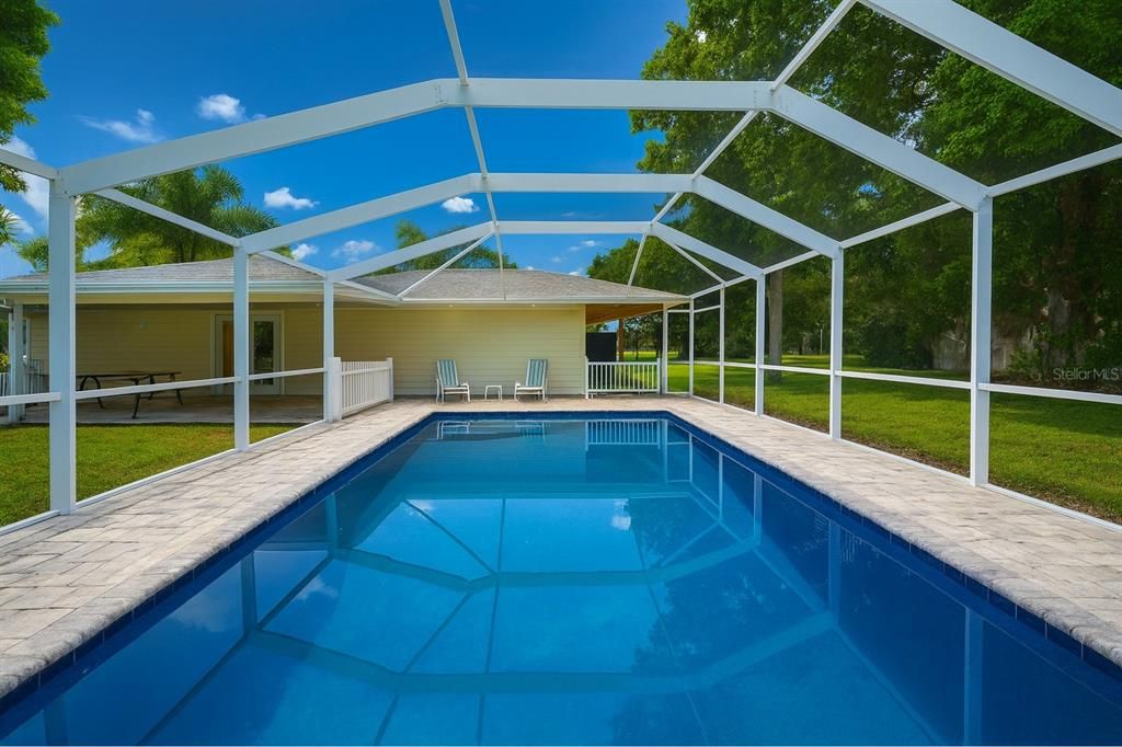 Glass Ceilings, Interior, Pool, Sun Room