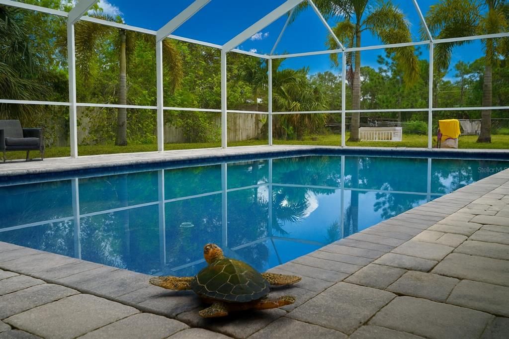 Glass Ceilings, Interior, Pool, Sun Room