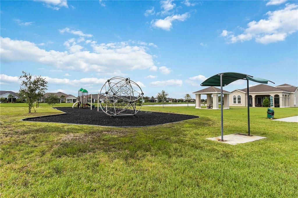 Backyard, Exterior, Playground