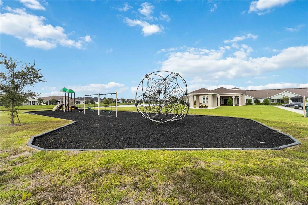 Backyard, Exterior, Playground