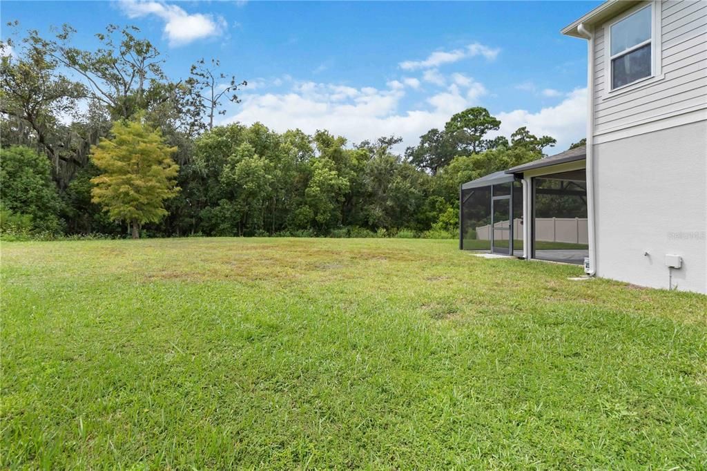 Backyard, Exterior