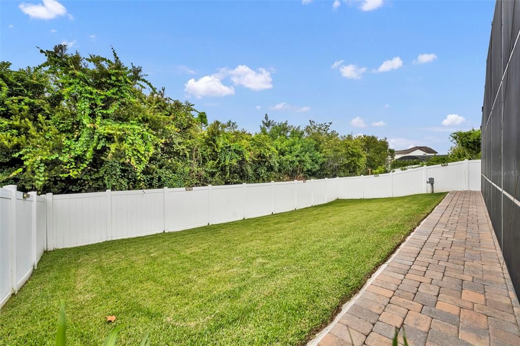 Backyard, Exterior