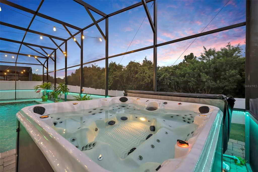 Glass Ceilings, Hot Tub, Interior, Sun Room