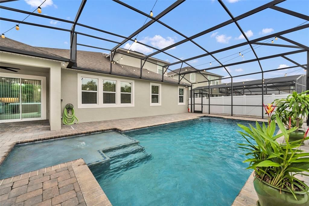 Glass Ceilings, Interior, Pool, Sun Room