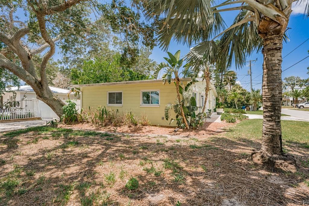 Backyard, Exterior