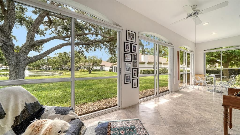 Interior, Recessed Lighting, Sun Room