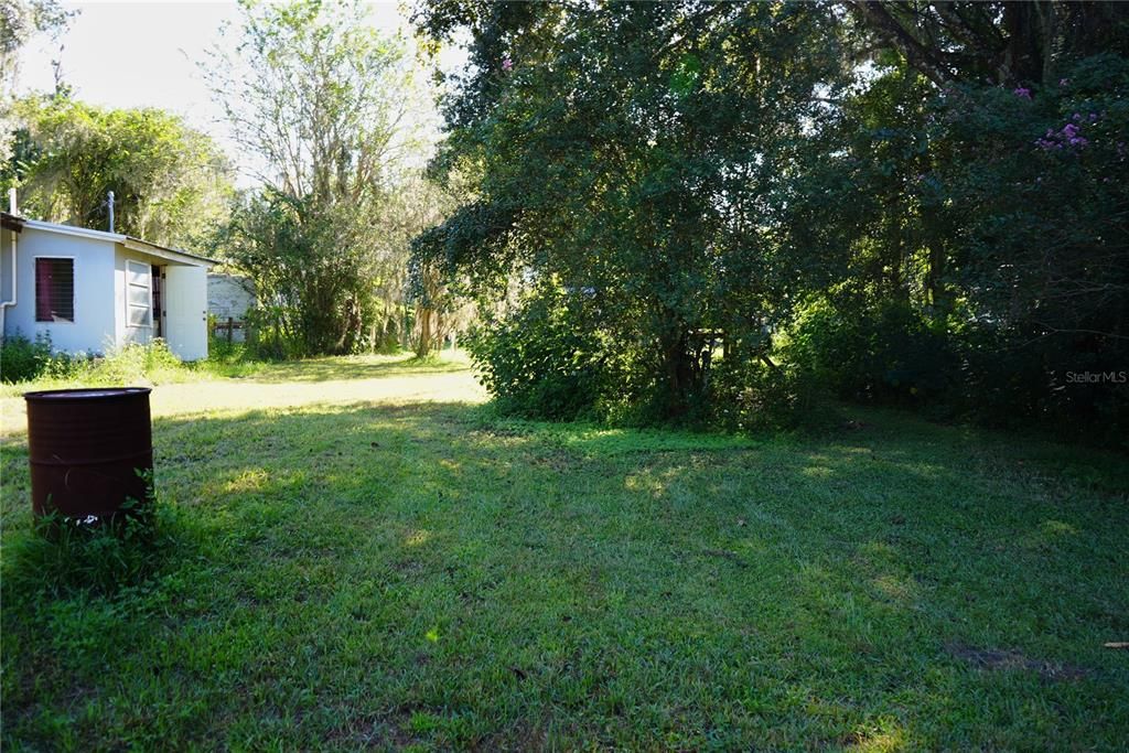 Backyard, Exterior