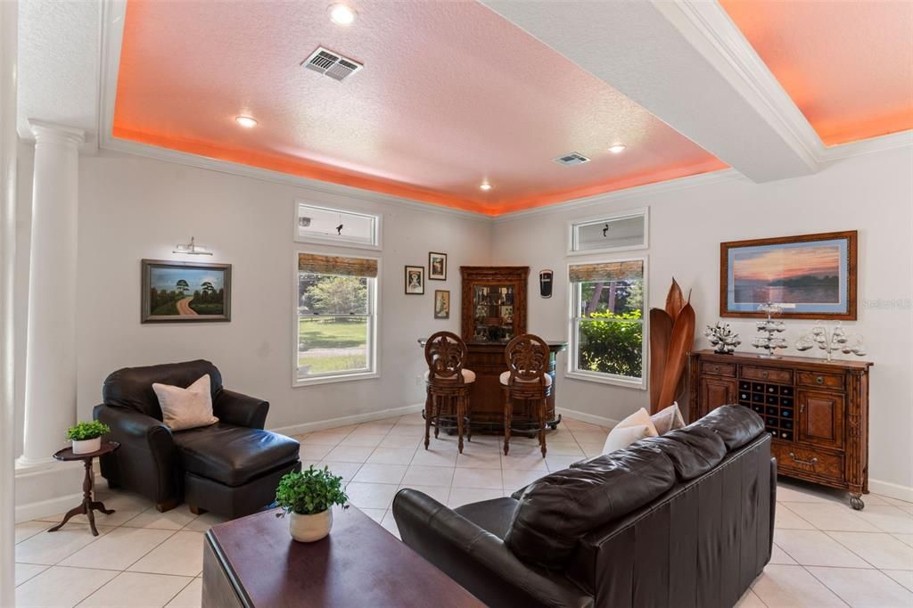 Interior, Living room, Recessed Lighting