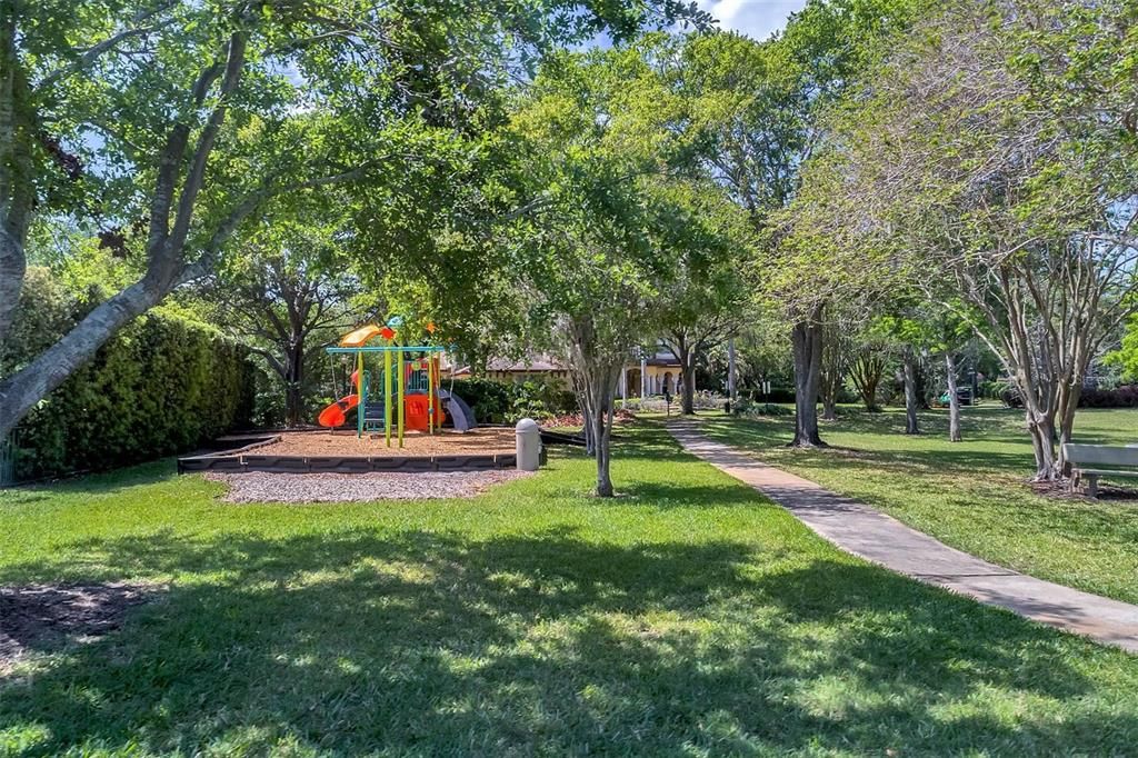 Backyard, Exterior, Playground